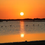 Caribbean Lofts - Ocean Breeze