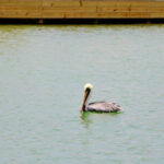 Caribbean Lofts - Ocean Breeze