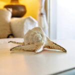 Ocean Breeze 65 - True media & culture-14