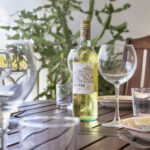 Ocean Breeze 65 - True media & culture-20