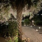 @The Breeze villa Bonaire, garden palm night