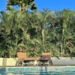 @The Breeze villa Bonaire, pool palms